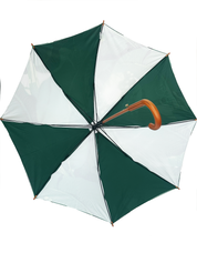 Brazilliance Umbrella